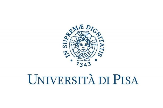 Immagine in evidenza dell'articolo: Concorso Università di Pisa 2024 – bando per 10 bibliotecari diplomati