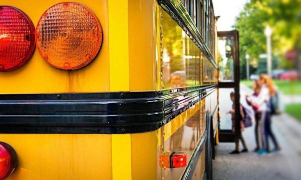 Concorso Autisti scuolabus Roma: bando per 5 unità