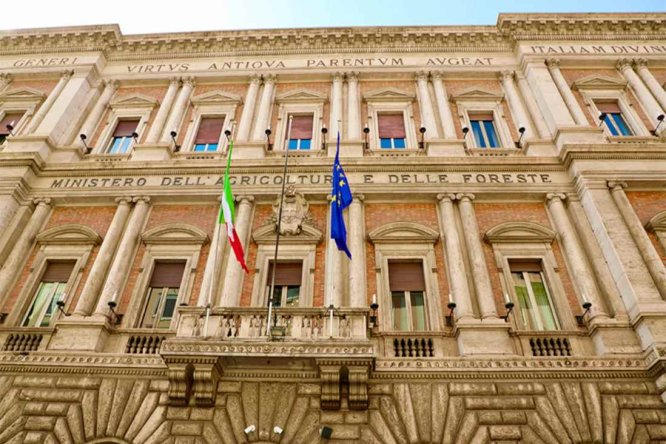 Immagine in evidenza dell'articolo: Selezione MASAF Lazio: assunzioni per 5 Operatori con scuola dell’obbligo
