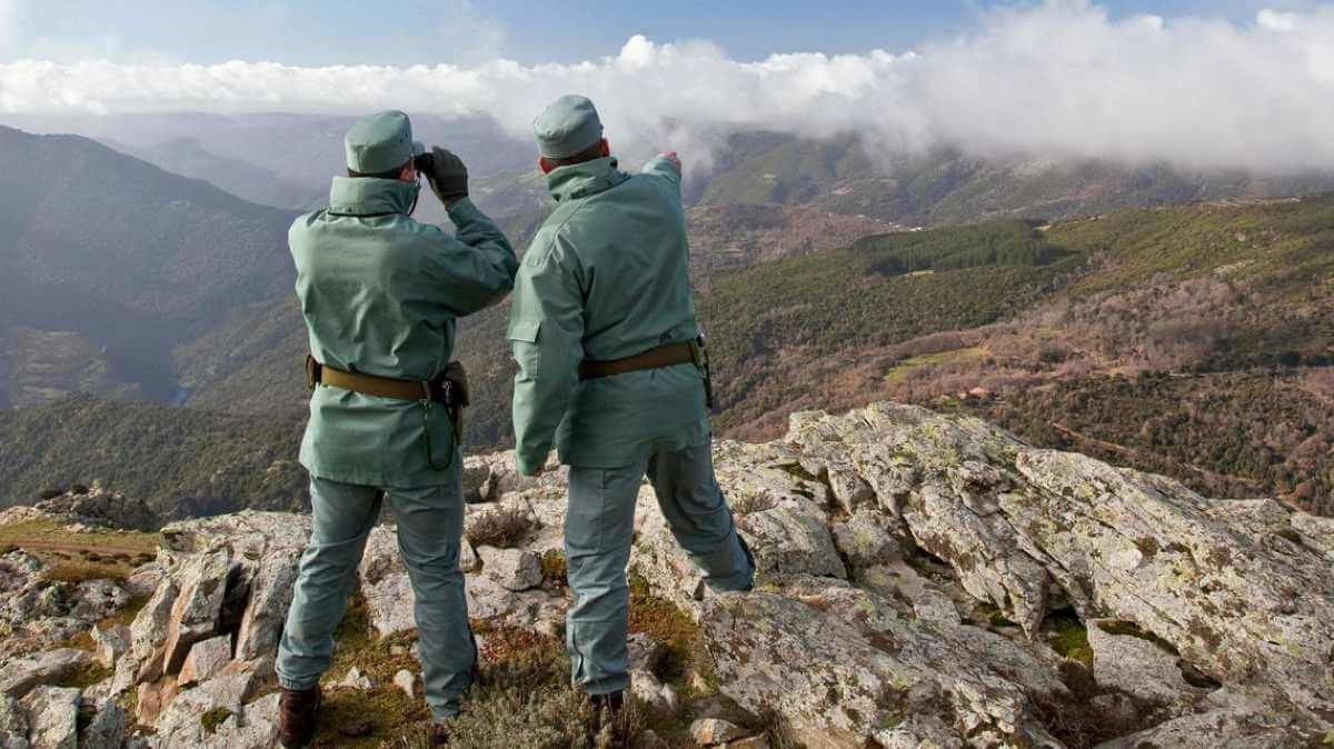 Immagine in evidenza dell'articolo: Concorso Forestali Regione Sardegna 2025: 96 posti per Agenti e Vigilanti ambientali