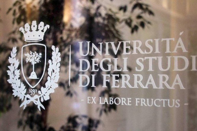 Immagine in evidenza dell'articolo: Concorsi Università di Ferrara: bandi per 9 diplomati e laureati
