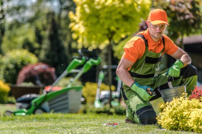 Immagine in evidenza dell'articolo: Concorso Operatori Esperti Taormina: 8 unità con terza media a tempo indeterminato