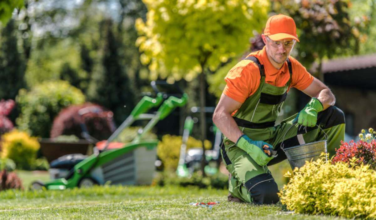 Immagine in evidenza dell'articolo: Concorso Operatori Esperti Taormina: 8 unità con terza media a tempo indeterminato