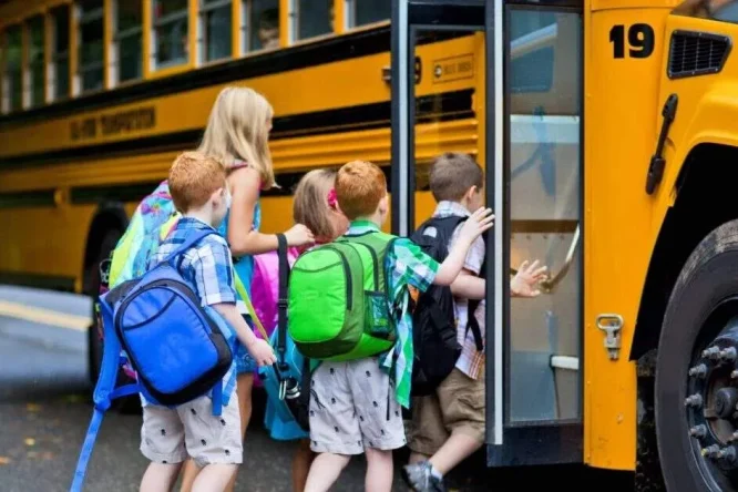 Immagine in evidenza dell'articolo: Concorso Autisti Comune Paternò: ruolo e stipendio