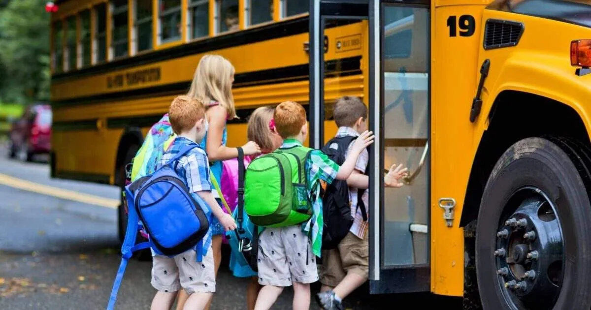 Concorso Autisti Comune Paternò: ruolo e stipendio