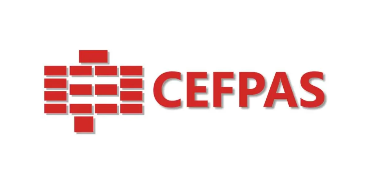 Immagine in evidenza dell'articolo: Concorsi Assistenti e Funzionari Sicilia: 14 assunzioni agli Uffici Amministrativi del CEFPAS