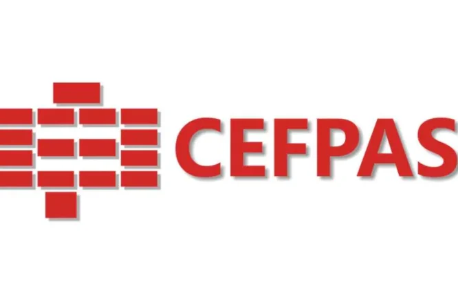 Immagine in evidenza dell'articolo: Concorsi Assistenti e Funzionari Sicilia: 14 assunzioni agli Uffici Amministrativi del CEFPAS