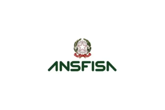 Immagine in evidenza dell'articolo: Concorsi ANSFISA 2026 – Bandi per 89 posti per diplomati e laureati