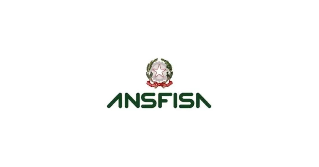 Immagine in evidenza dell'articolo: Concorsi ANSFISA 2026 – Bandi per 89 posti per diplomati e laureati