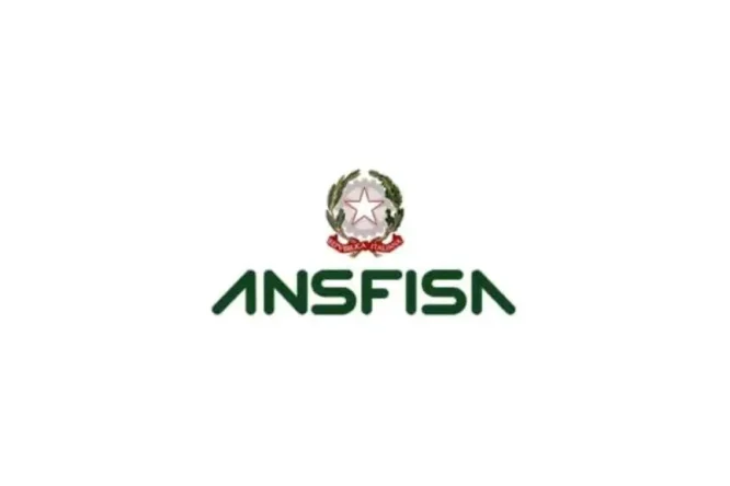 Immagine in evidenza dell'articolo: Riaperti concorsi ANSFISA 2026: bandi per 66 diplomati e laureati