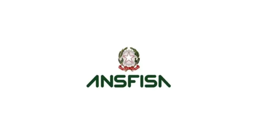 Riaperti concorsi ANSFISA 2026: bandi per 66 diplomati e laureati