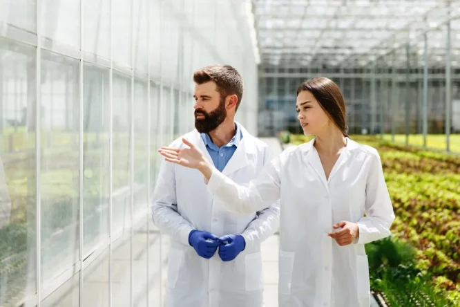 Immagine in evidenza dell'articolo: Quale scuola scegliere: Agraria, Agroalimentare e Agroindustria (Istituto Tecnico Agrario)