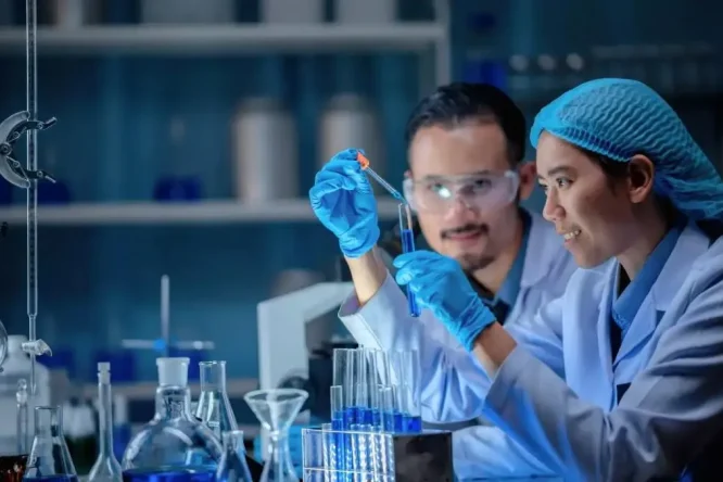 Immagine in evidenza dell'articolo: Quale scuola scegliere: Liceo Scientifico Scienze Applicate