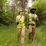 Immagine in evidenza dell'articolo: Concorso Comunità Montana Salerno: 52 posti per Operai forestali con licenza media